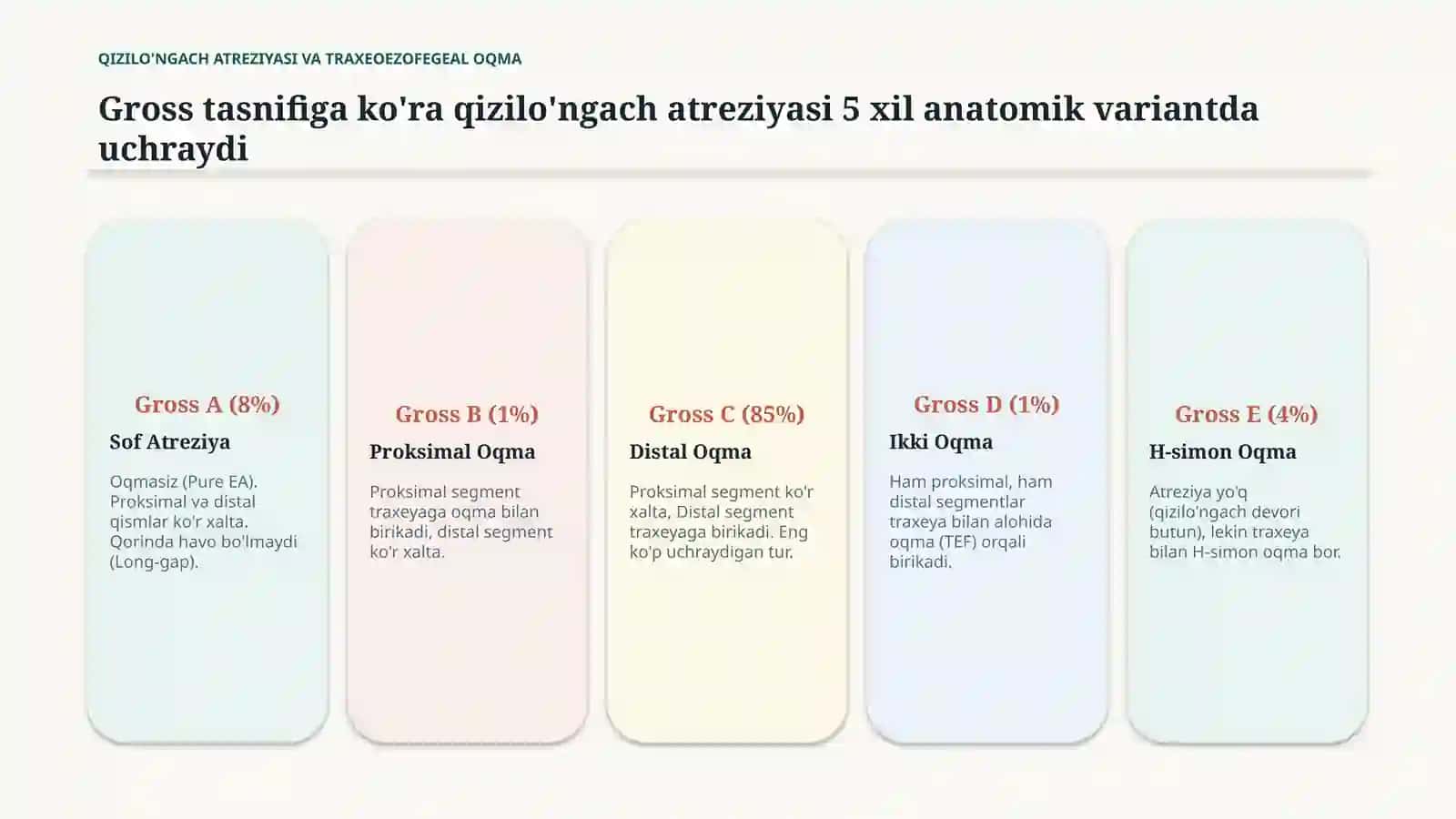 QIZILO'NGACH ATREZIYASI 4