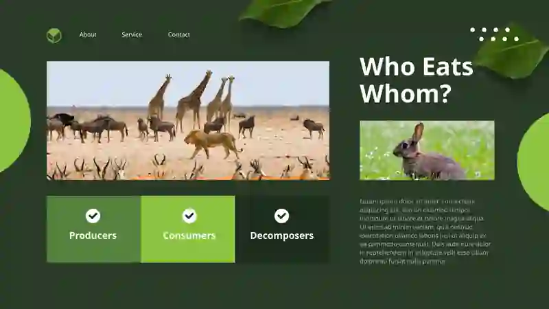 ECOSYSTEMS 4