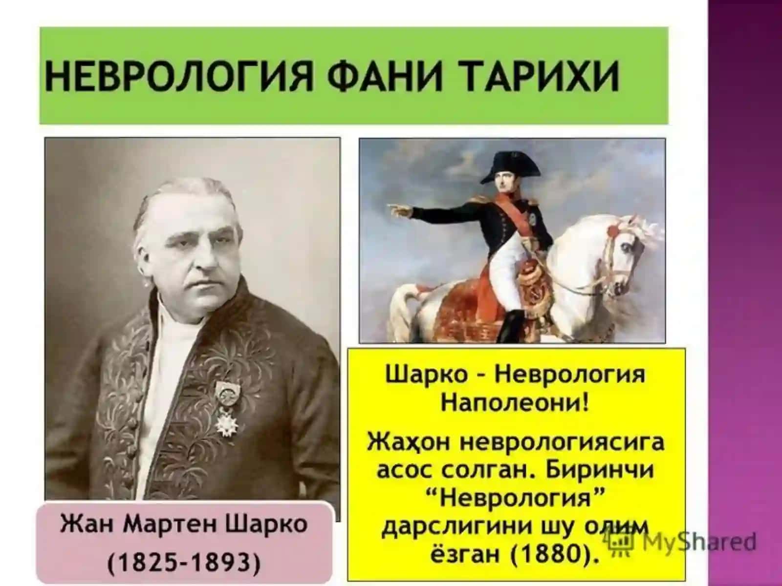 Vegetativ nerv sistemasi va uning turlari 4