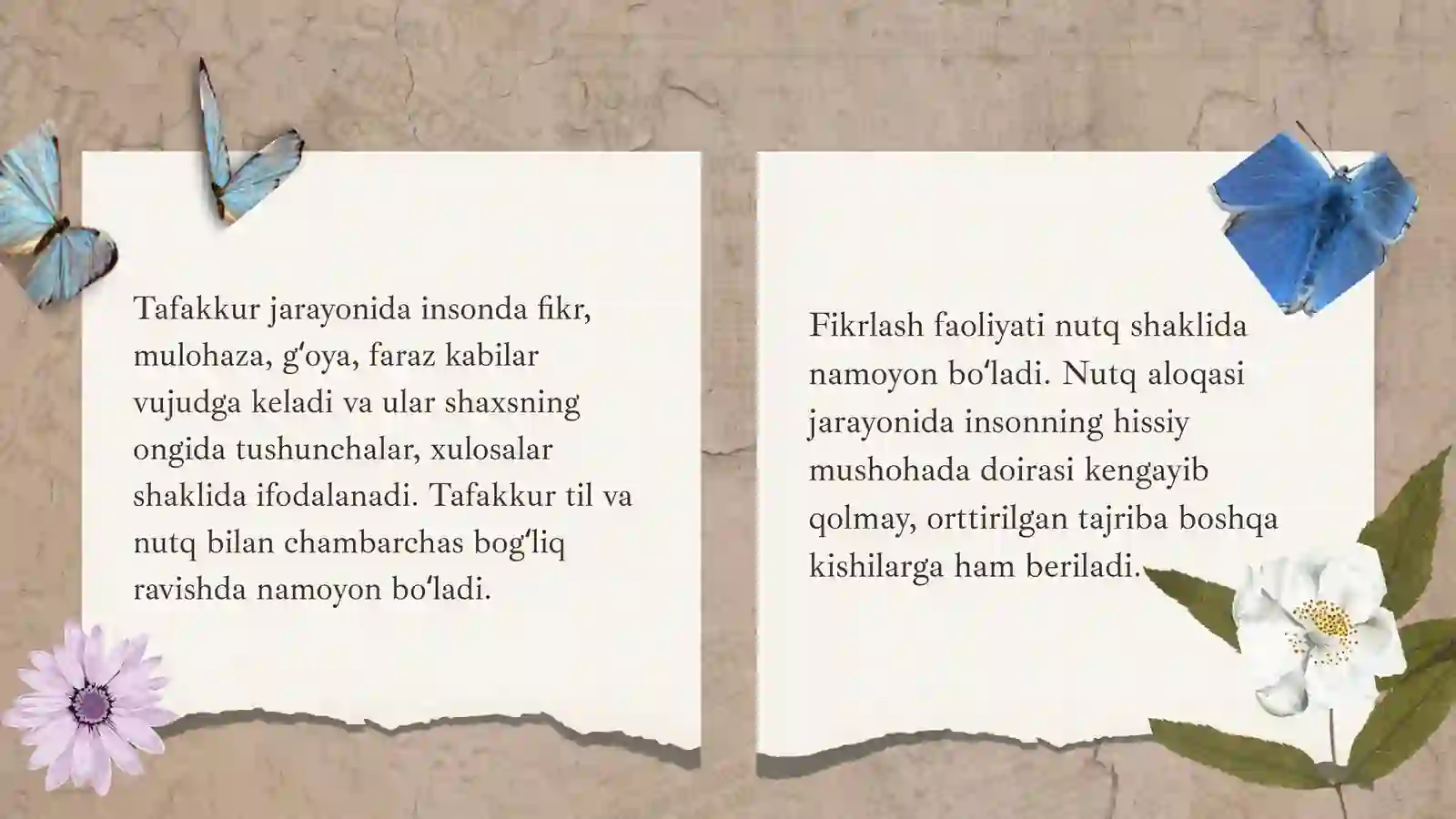 Tafakkur 4