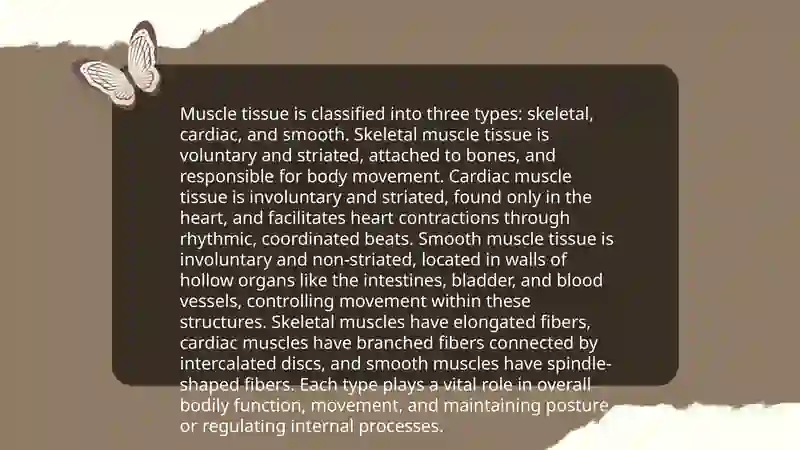 Muscular System 4