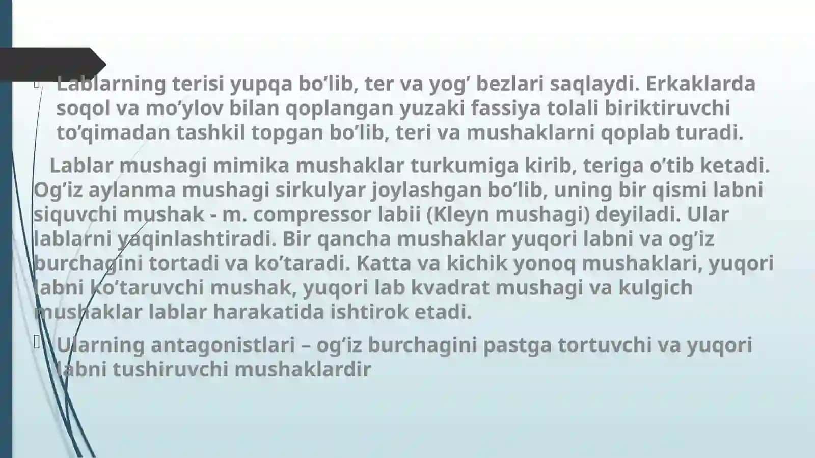 Og`iz sohasi anatomiyasi 4