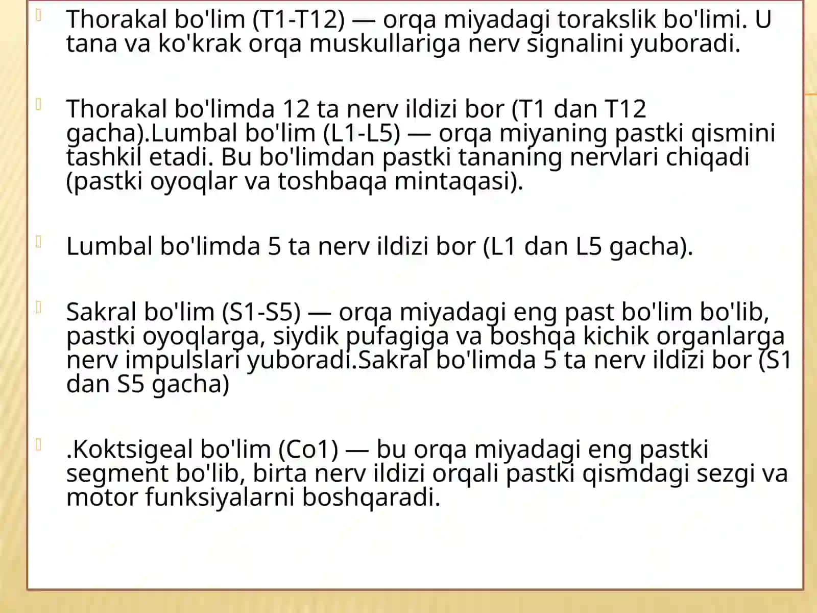 Orqamiyaning anatomik tashkili 4