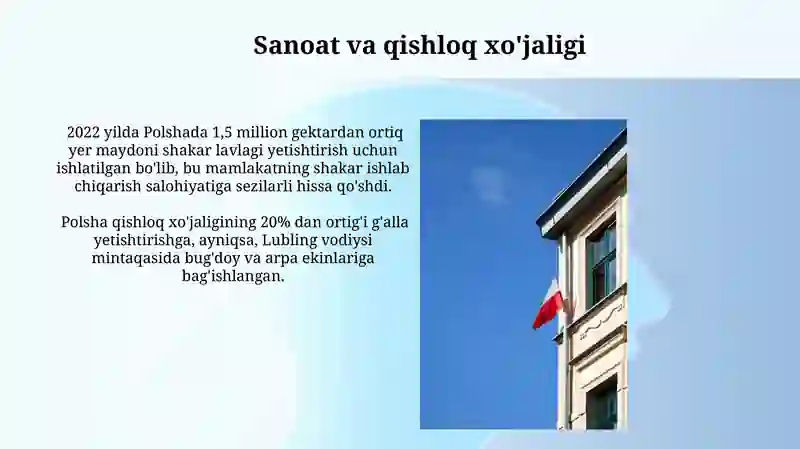 Polsha davlati haqida 4