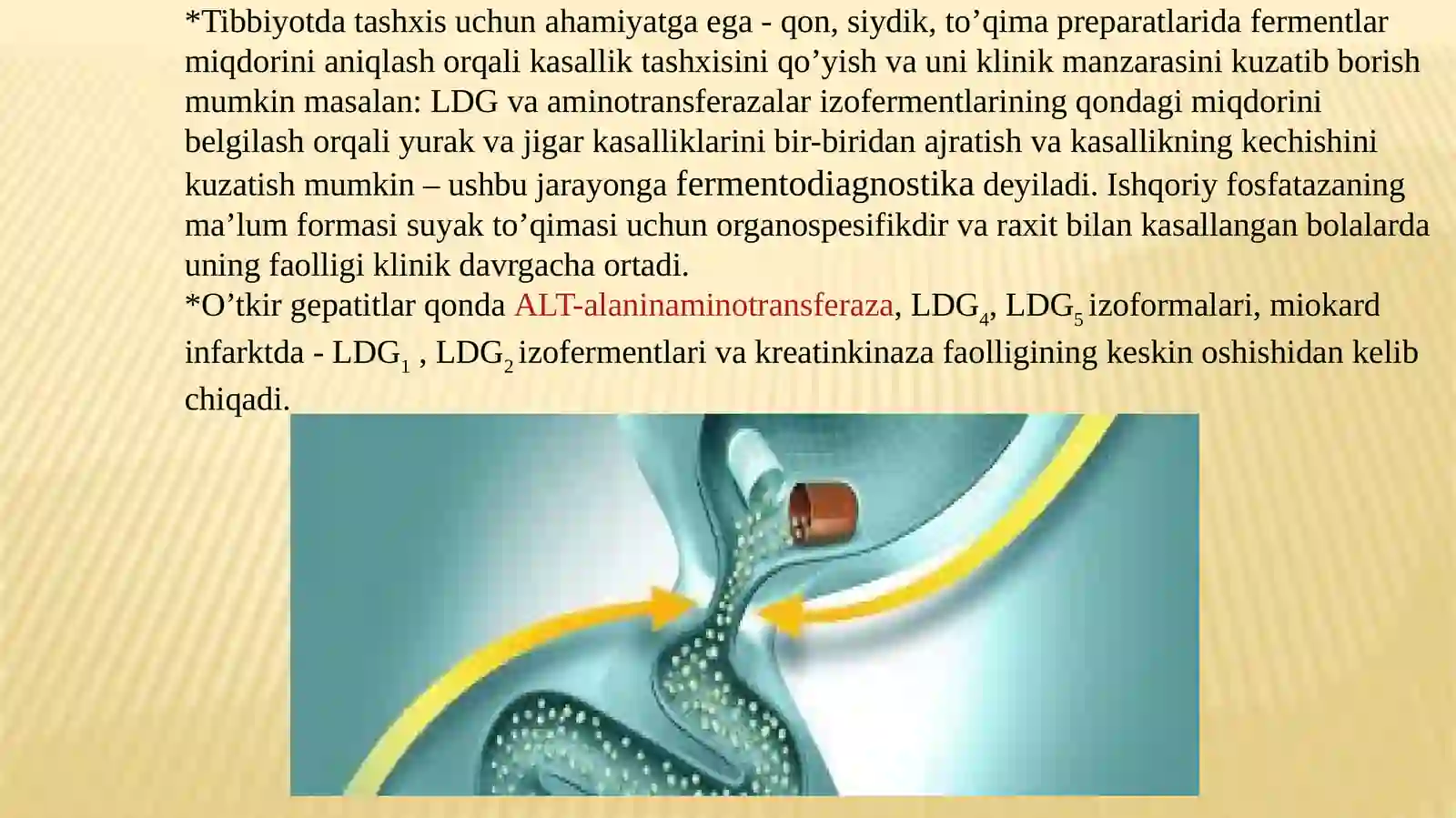 Fermentlar faolligining boshqarilishi 4