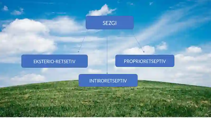 SEZGI 4