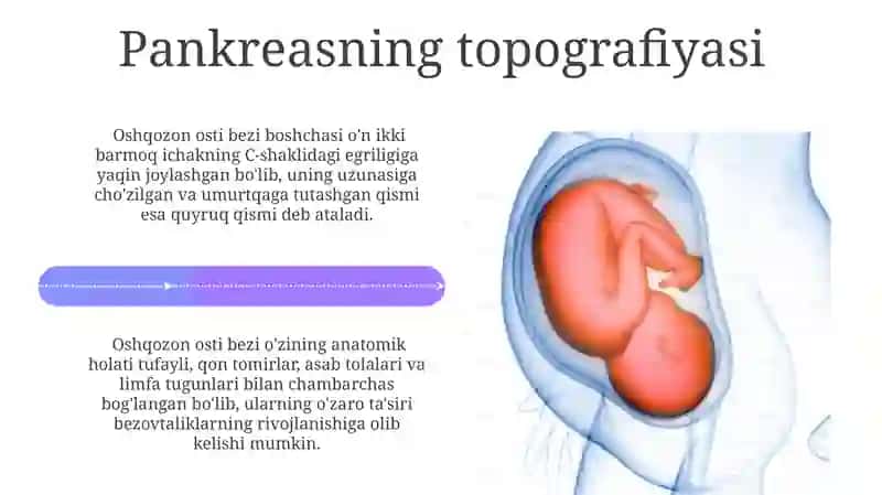 Buyrak usti bezlarining anatomiyasi va topografiyasi 4