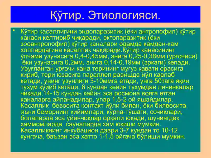 Терининг паразитар касалликлари 4