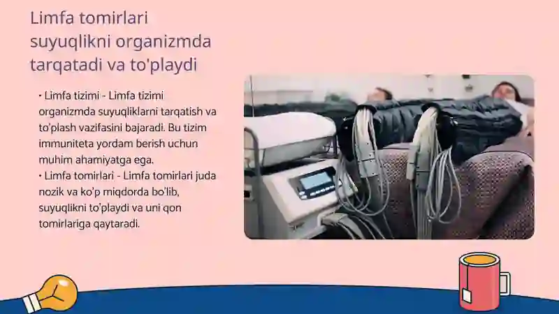 Limfa sistemasi 4