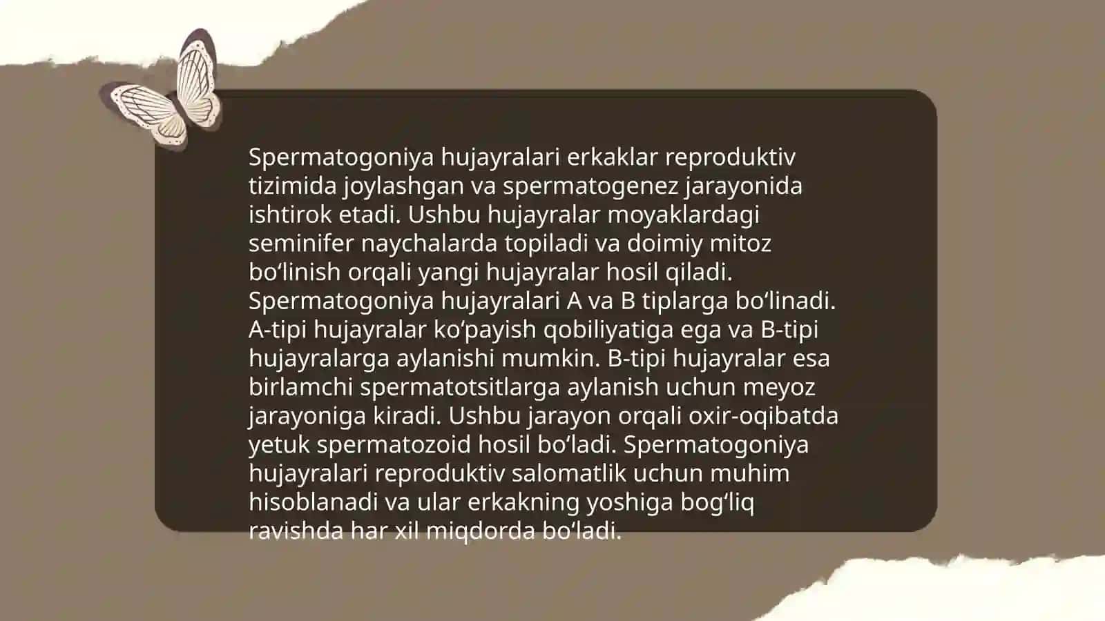 Spermatogenez bosqichlari sxemasi va mexanizmi 4