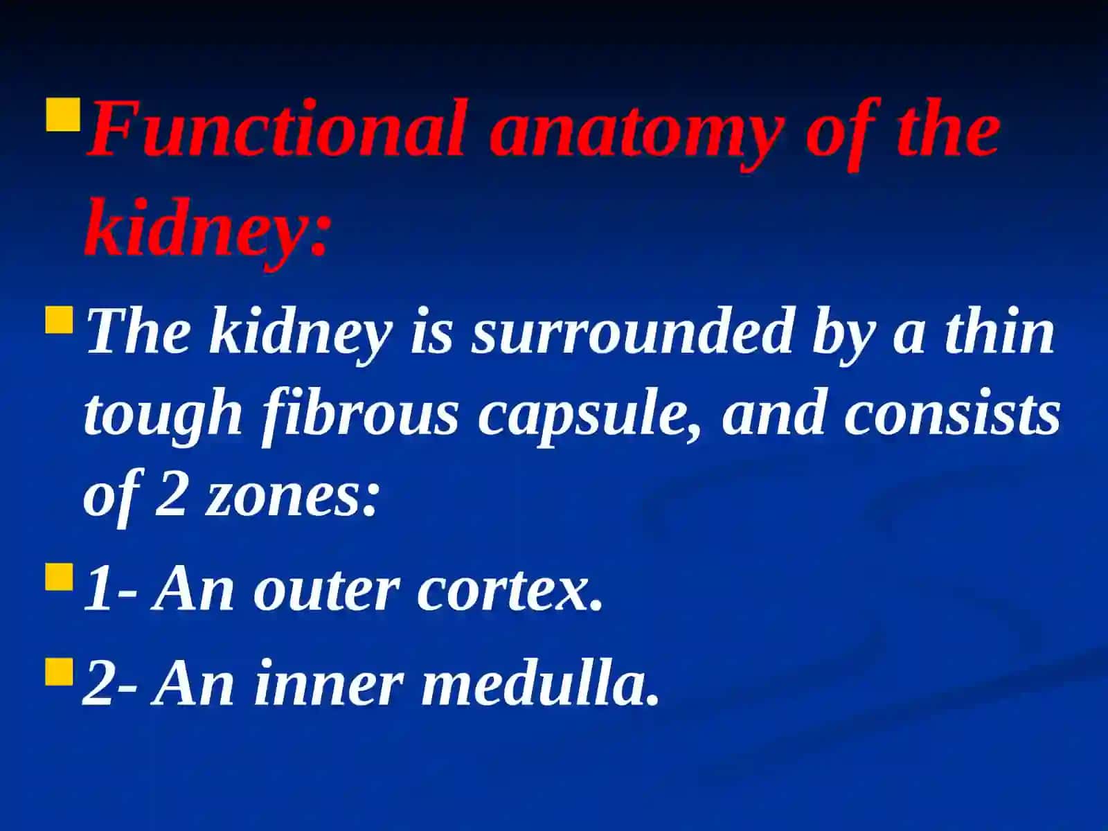 The urinary system 4