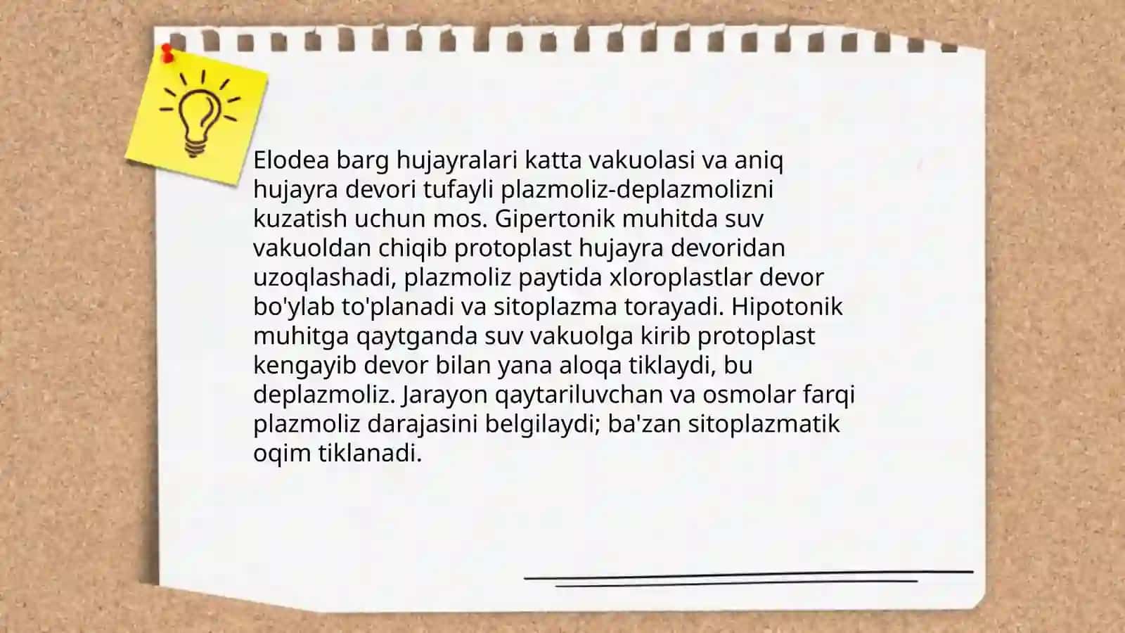 Turli oʻsimlik hujayralarida plazmoliz va deplazmoliz hodisalarini oʻrganish 4