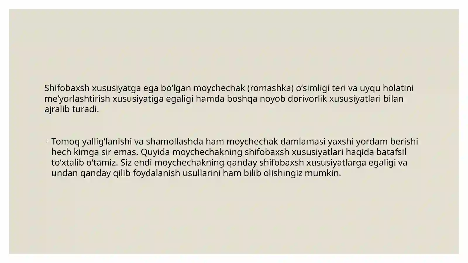 Moychechak - Romashka 4