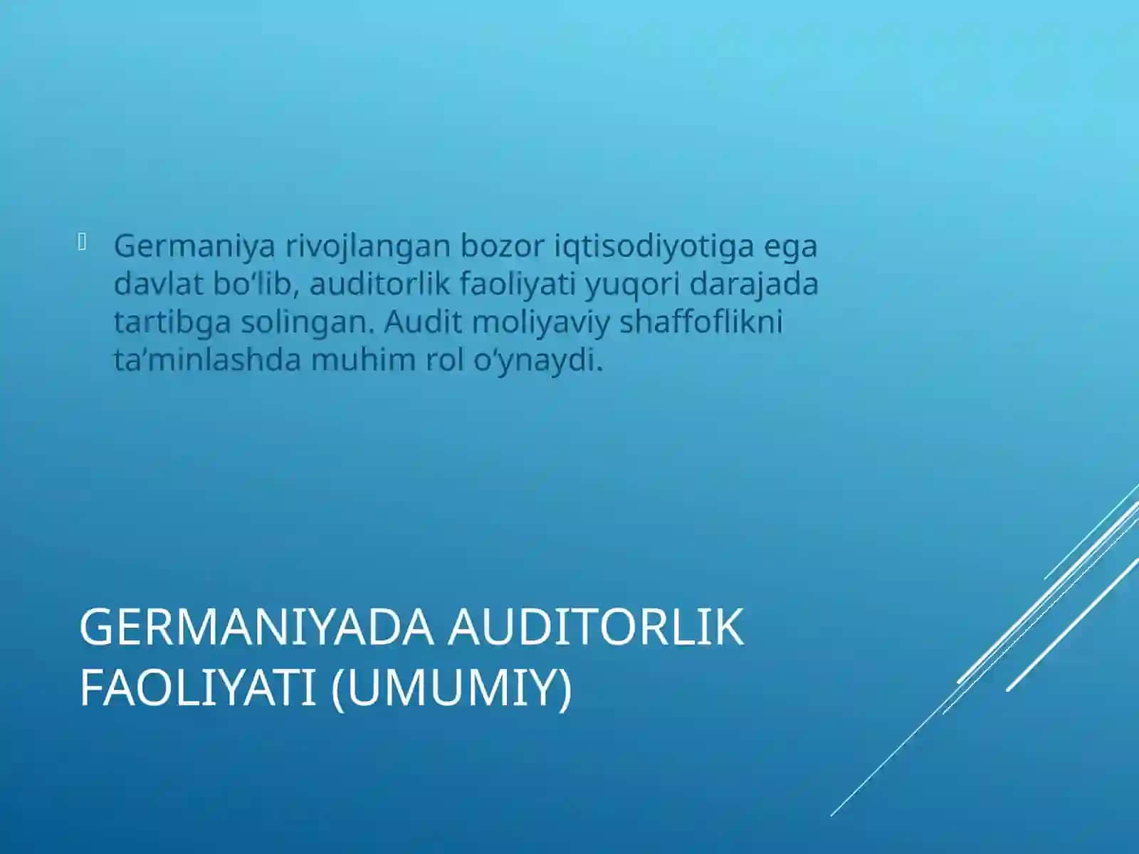 Auditorlik faoliyati 4