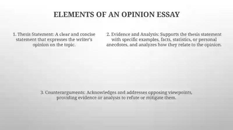 Opinion Essay 4