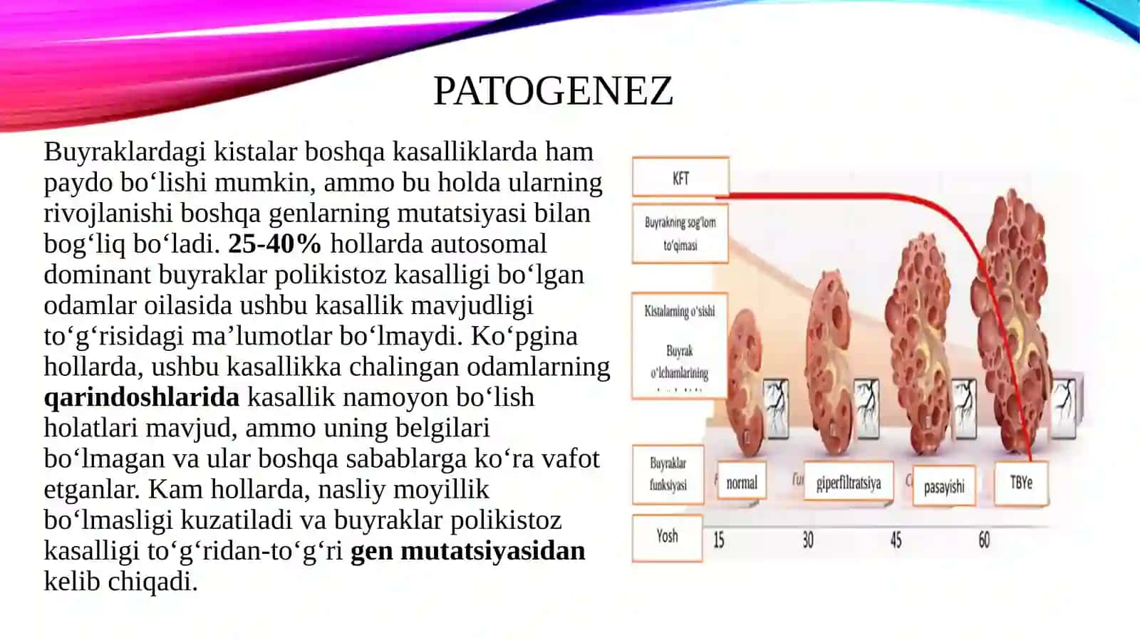 Nasliy nefropatiyalar: buyraklar polikistozi, Gudpascher sindromi, Alport sindromi 4