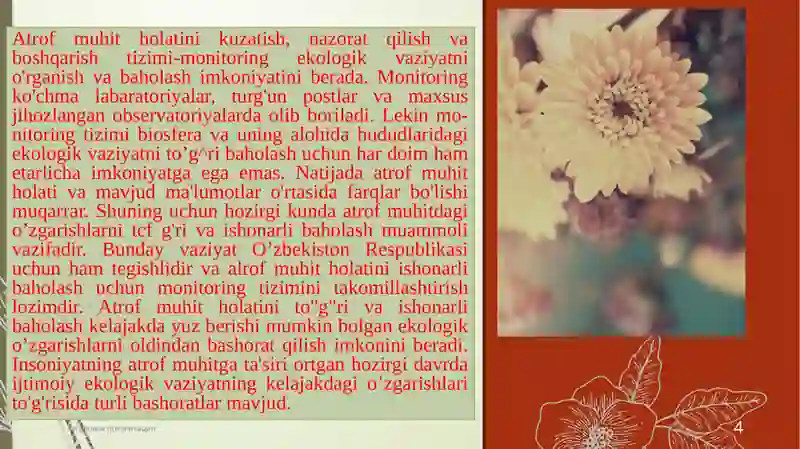 Preview 4