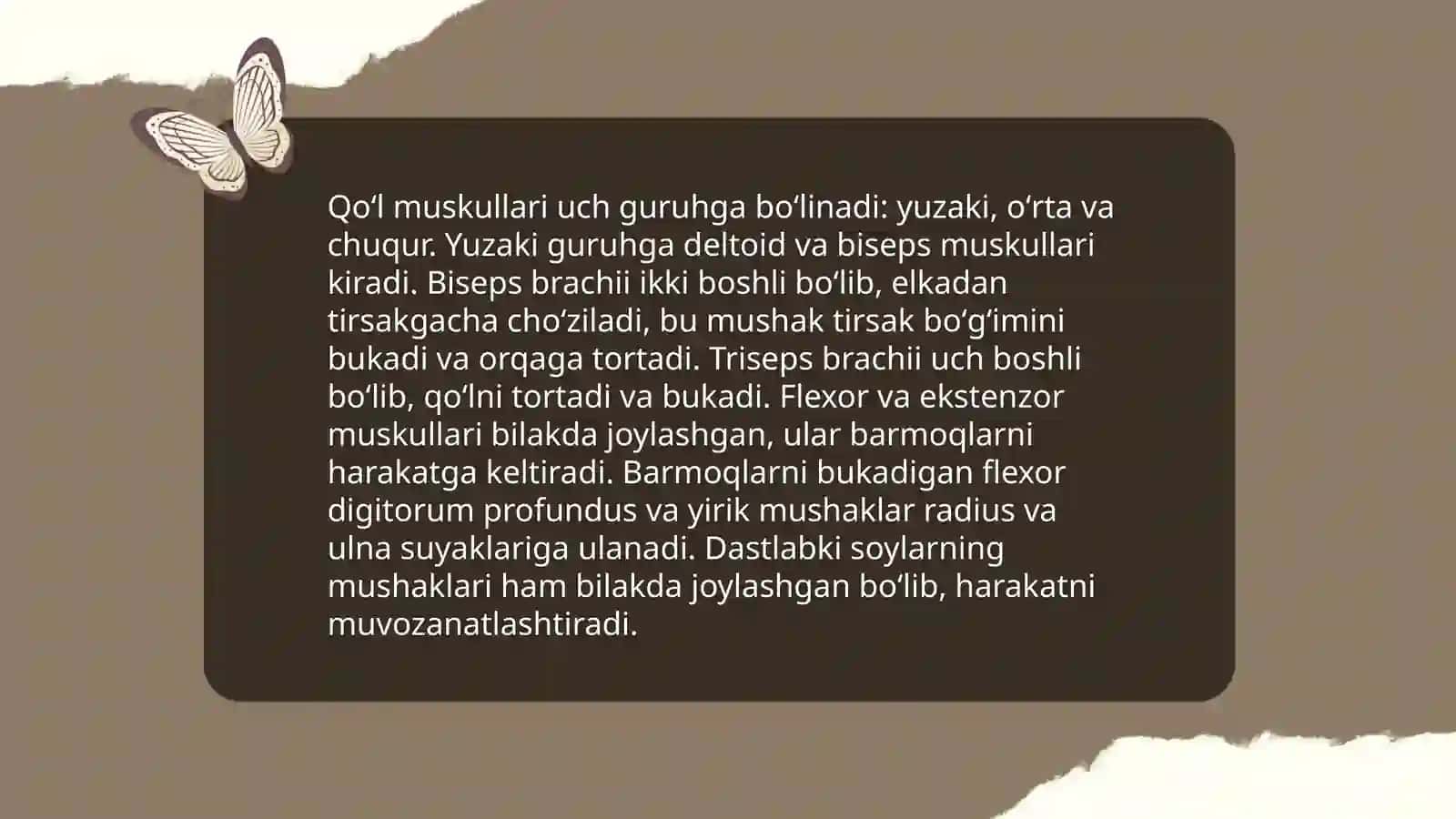 Qoʻl va oyoq muskullarining fassiyalari 4
