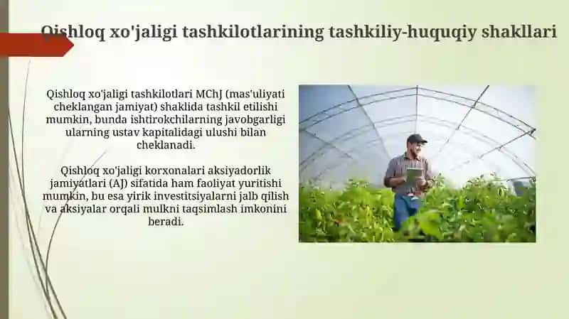 Qishloq xo'jaligi sub'ektlari 4