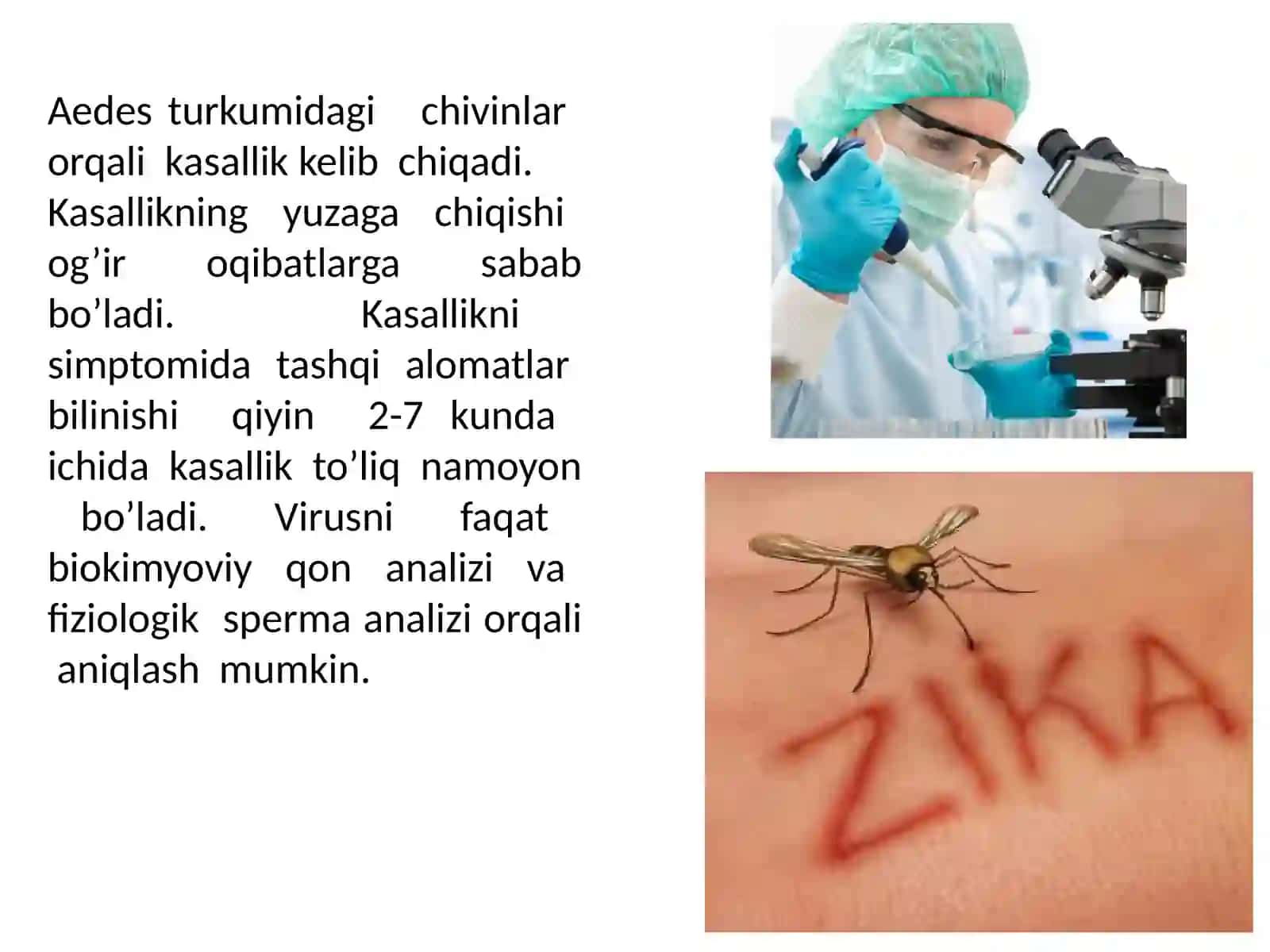 Zika virusi 4