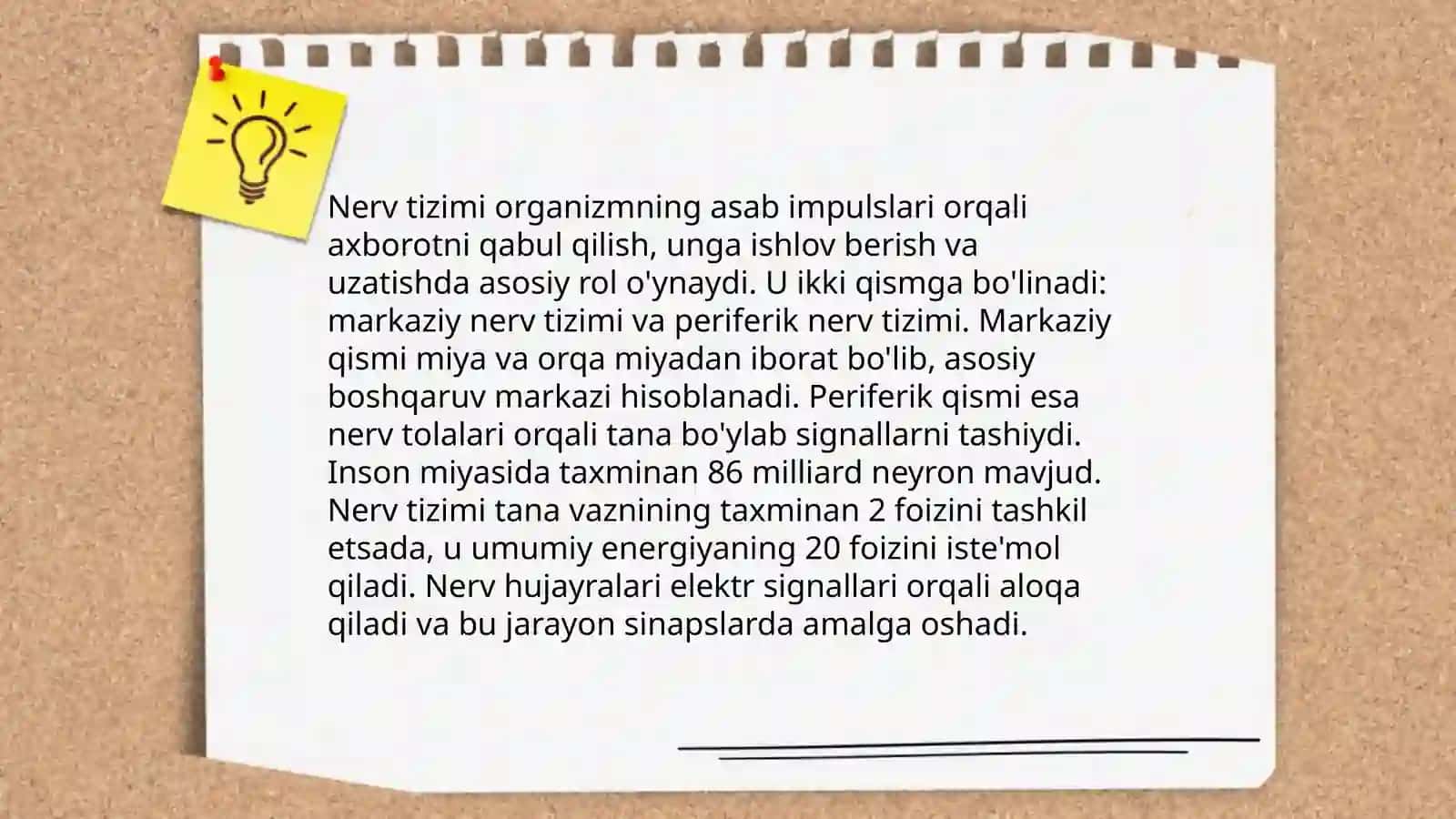 Odamning sistematikada tutgan oʻrni 4