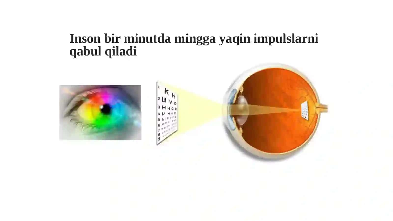 Sezgia’zolari 4