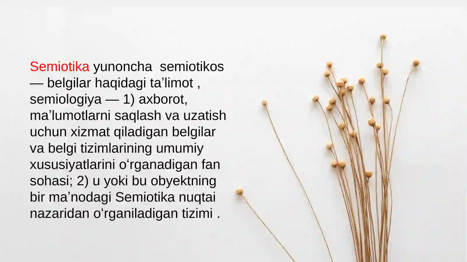 Tilshunoslik nazaryasi 4