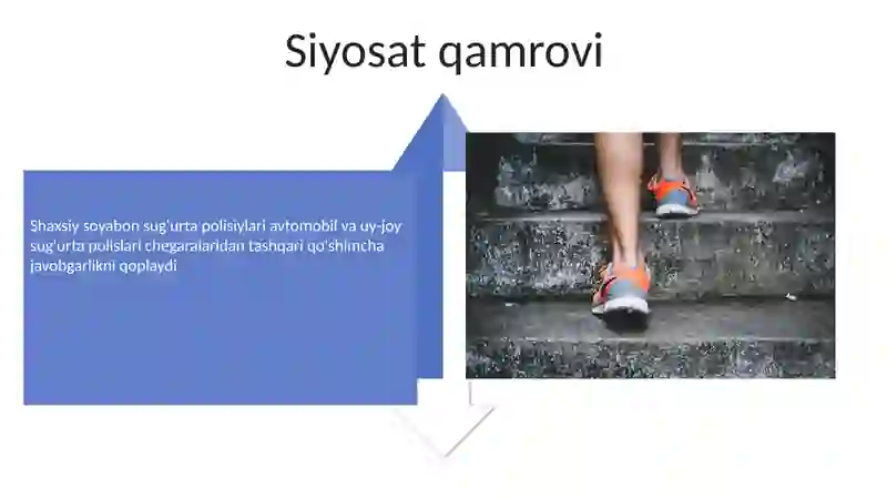 Shaxsiy sug'urta 4