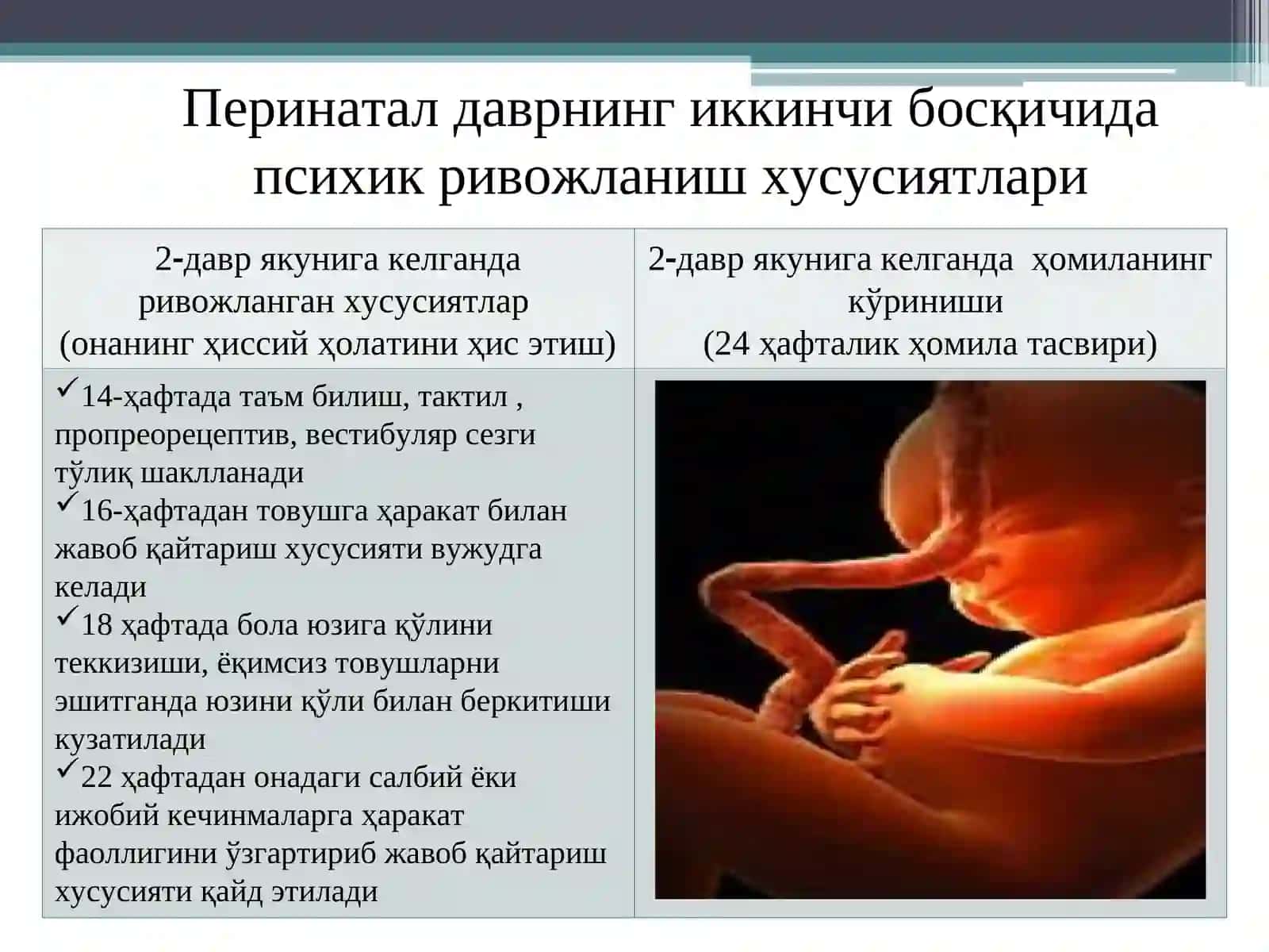 Онтогенезнинг илк босқичларида инсоннинг психик ривожланишига хос хусусиятлари 4