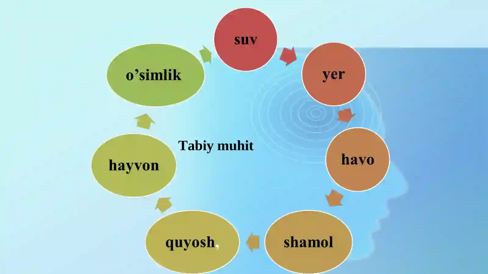 Yashash muhiti 4