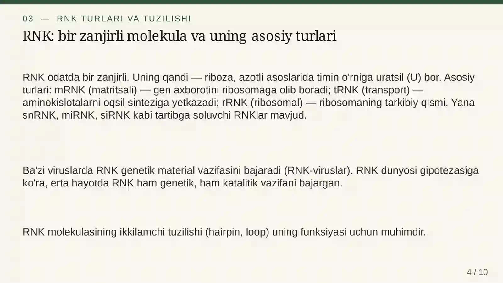 DNK va RNK: tuzilishi va funksiyalari 4