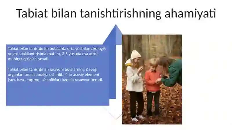 Maktabgacha yoshdagi bolalarni tabiat bilan tanishtirish boyicha davlat talablari 4