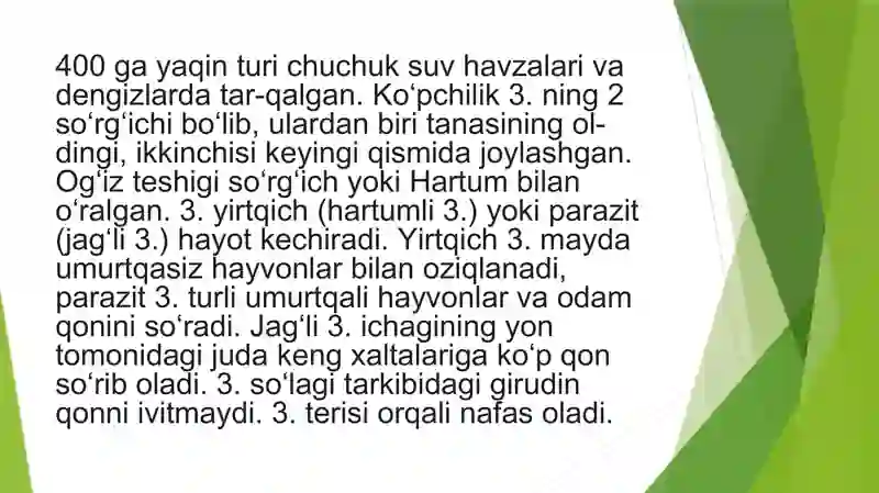 Zuluklar (Hirudinea) 4