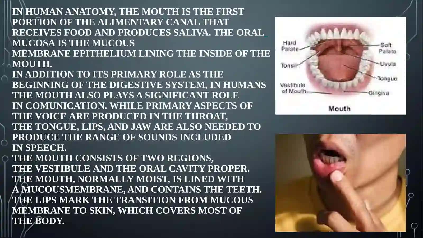 PARTS OF THE HUMAN BODY 4