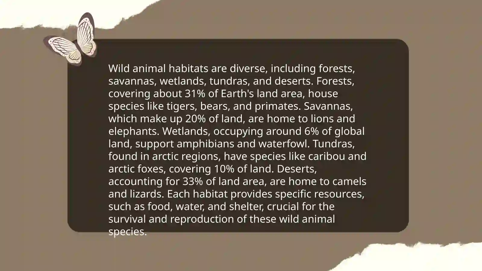 Wild animals 4