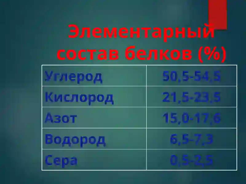 Строение и функции белков 4