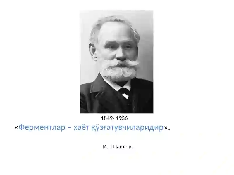 Ферментлар 4