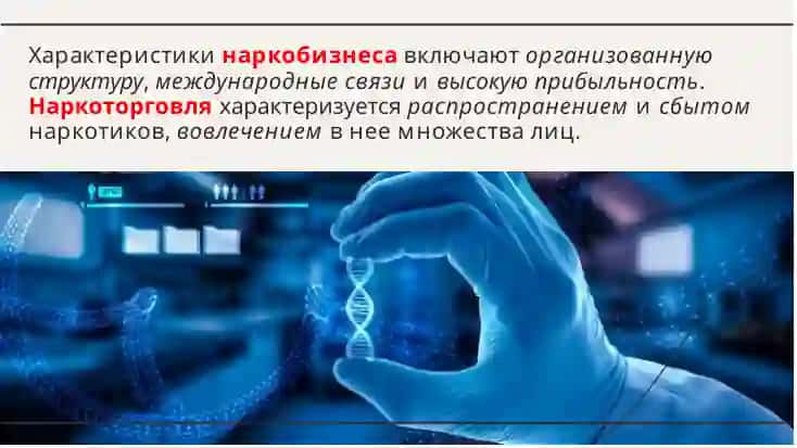 Анализ категорий  'наркобизнес' и  'наркоторговля':  определение,  характеристики и  последствия 4