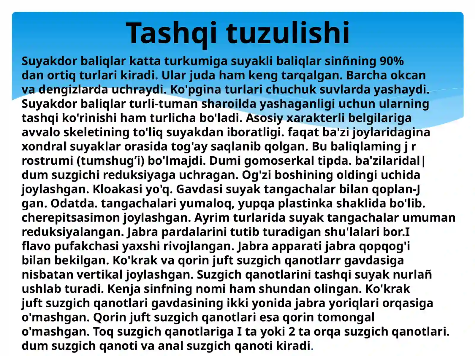 Suyaklibaliqlar 4