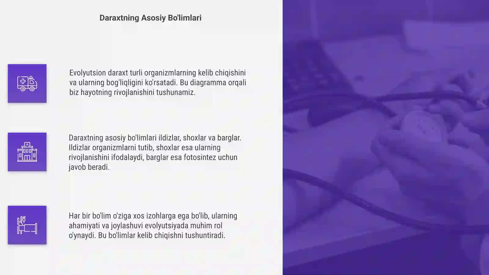 Evolyutsion daraxtni chizib har bir bo'limini izohlang 4