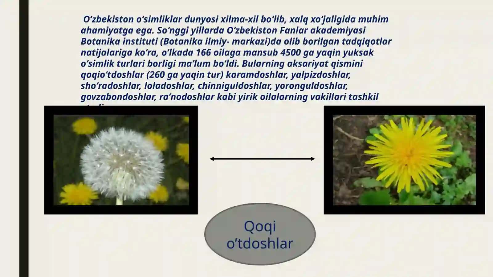 O’Simlik dunyosidan foydalanish va uni muhofaza qilish 4