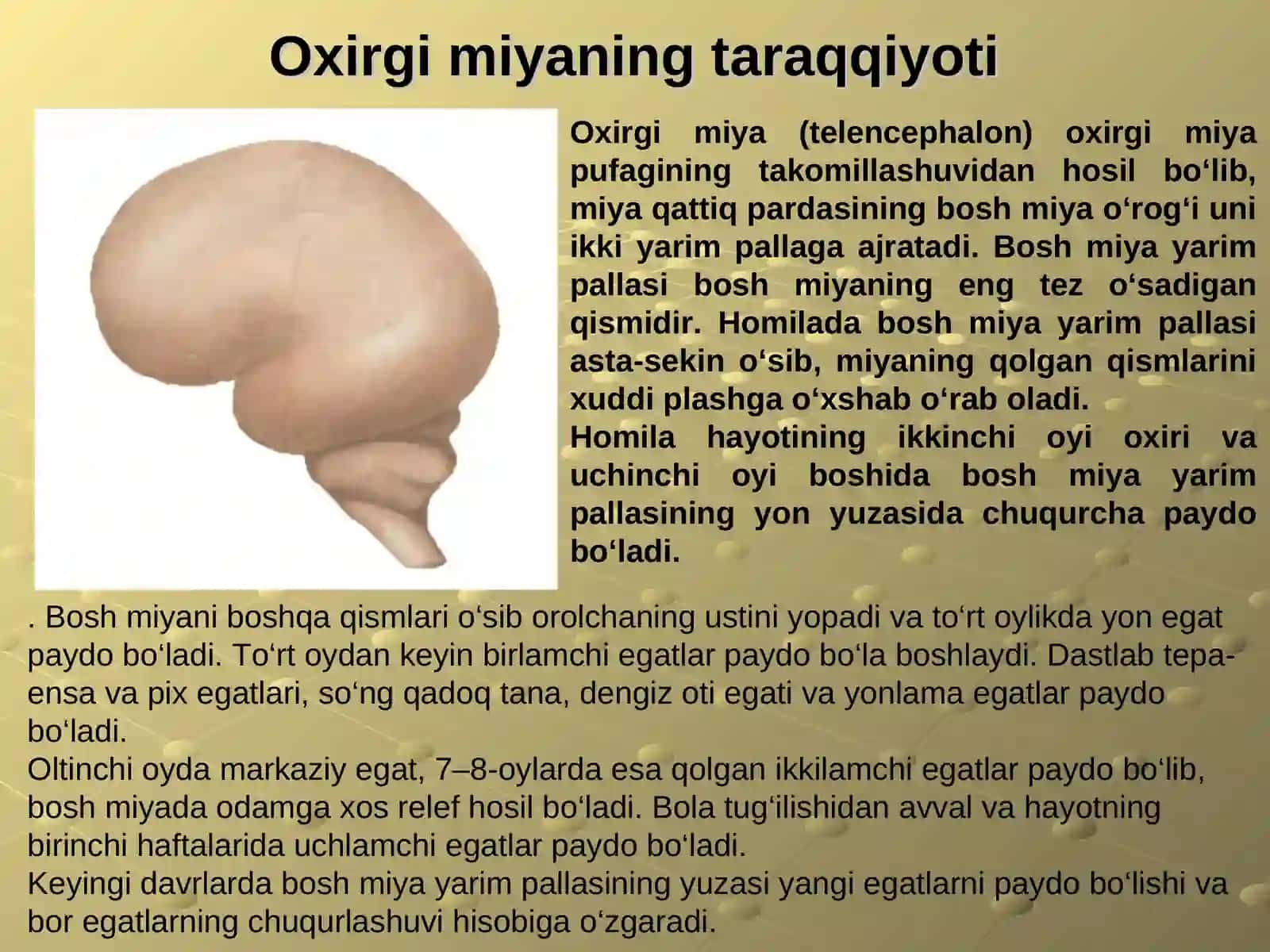 O'xshagich ta'lim 4