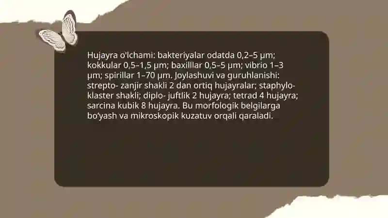 Mikroorganizmlarni turlarini aniqlashda morfologik, kultural va fiziologik xususiyatlardan foydalanish 4