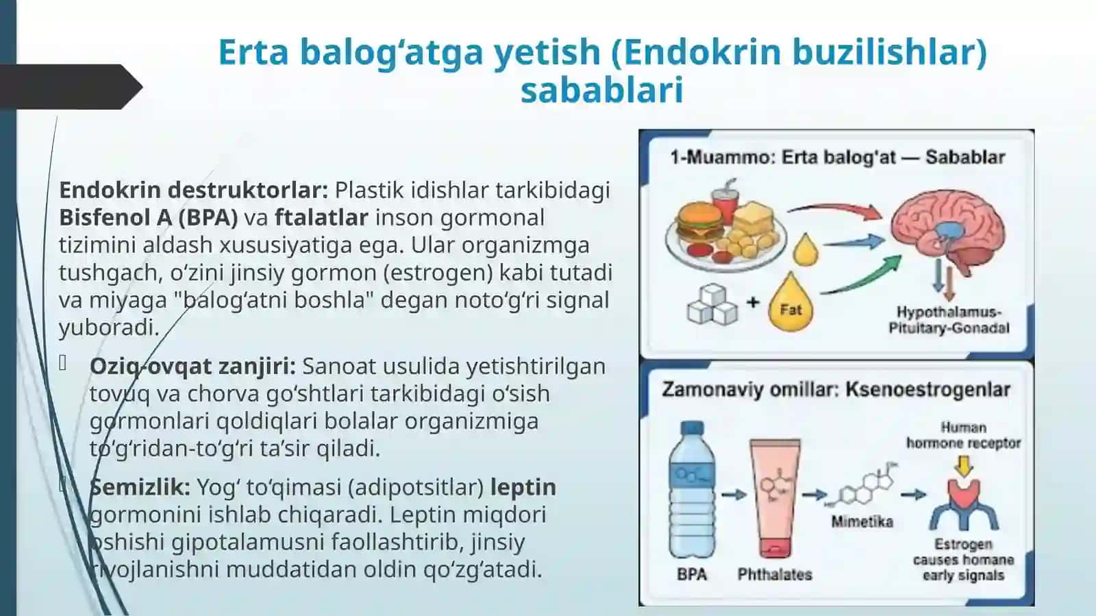 Bolalar va o’smirlar o’rtasida muammolar (Erta balog‘at va "Klip"li fikrlash 4