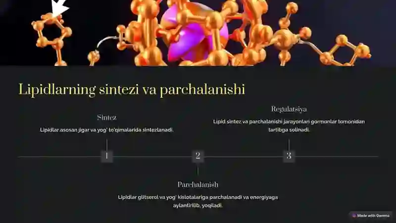Lipidlar almashinuvi 4