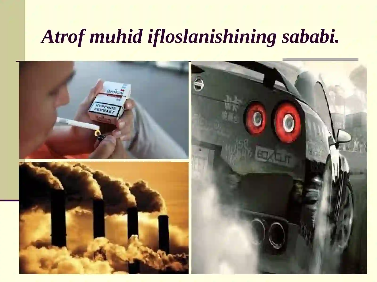 Ekologiya va atrof-muhit 4