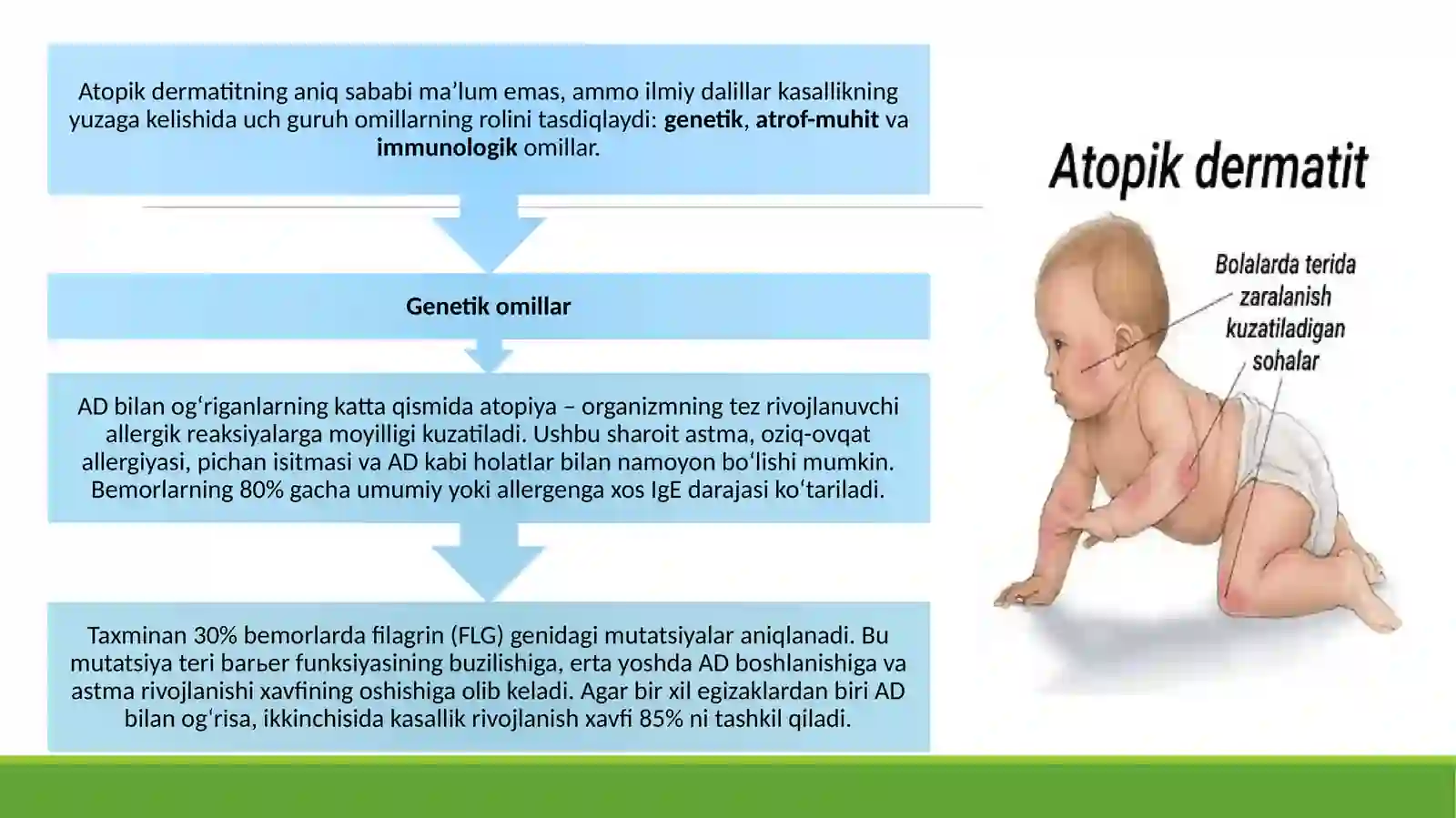 Atopik dermatit 4