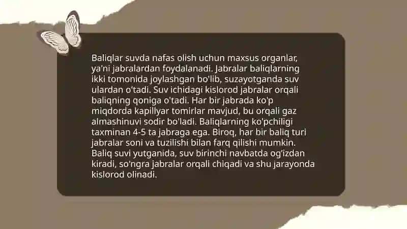 Nafas olish a'zolari filogenezi 4