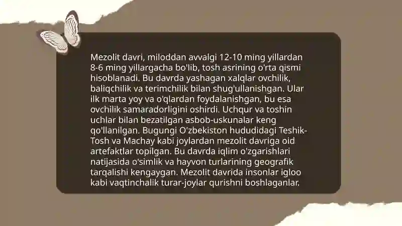Mezolit davri 4