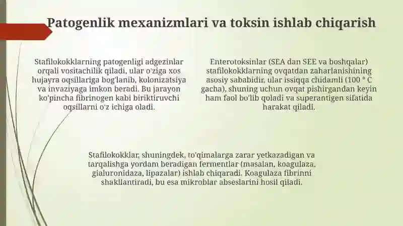 Ovqatdan zaxarlanish keltirib chiqaruvchi stafilokokklar 4